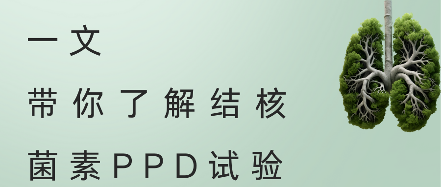 һģ˽Y(ji)˾PPDԇ 